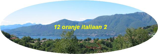 12 oranje italiaan 2