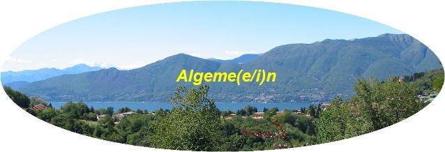 Algeme(e/i)n